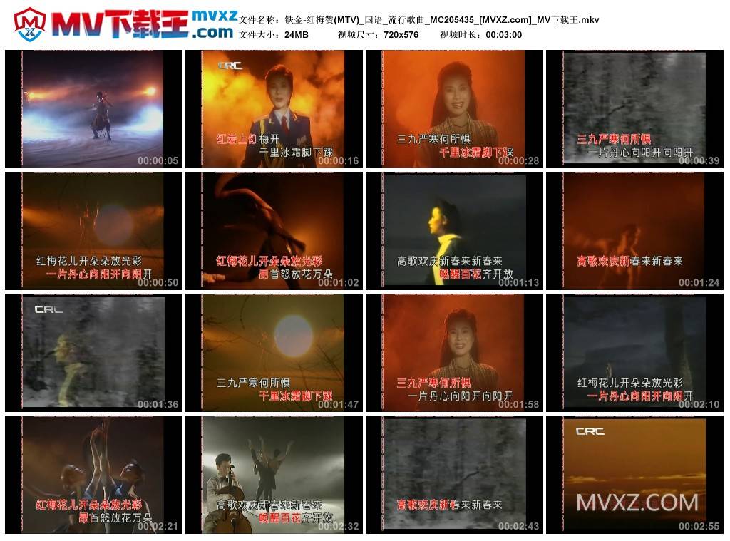 铁金-红梅赞(MTV)_国语_流行歌曲_MC205435